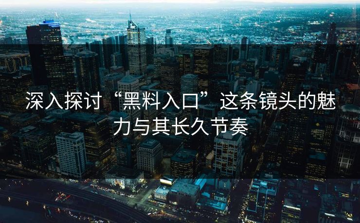 深入探讨“黑料入口”这条镜头的魅力与其长久节奏  第1张