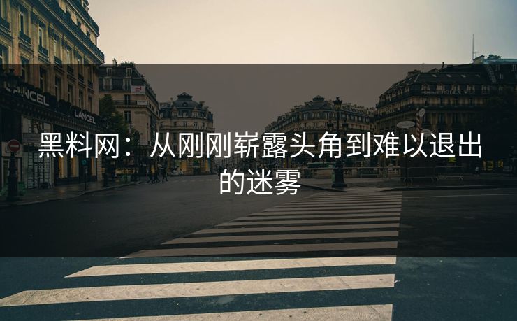 黑料网：从刚刚崭露头角到难以退出的迷雾  第1张