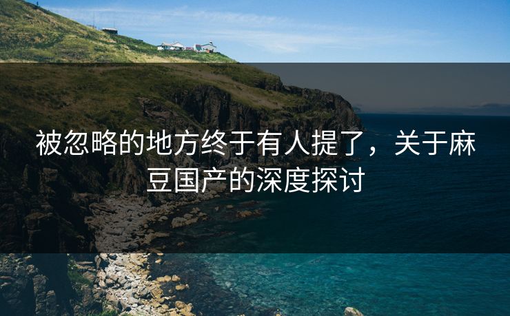 被忽略的地方终于有人提了,关于麻豆国产的深度探讨 第1张 被忽略的地方终于有人提了,关于麻豆国产的深度探讨 第1张