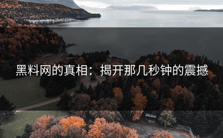 黑料网的真相:揭开那几秒钟的震撼 第1张 黑料网的真相:揭开那几秒钟的震撼 第1张